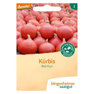Kürbis Hokkaido Red Kuri