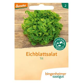 Pflücksalat Till
