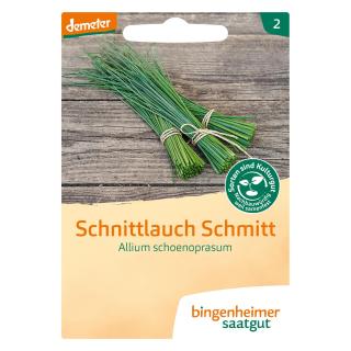 Schnittlauch Mittelgroß