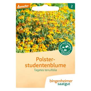 Tagetes (Polsterstudentenblume)