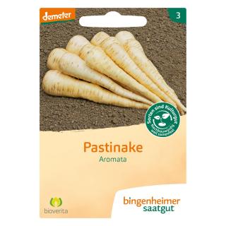 Pastinaken Aromata