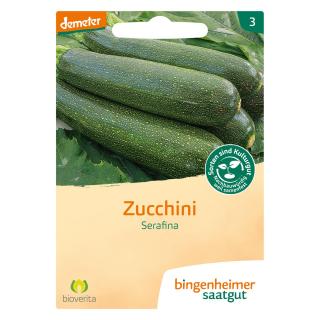 VOR Zucchini `Serafina`