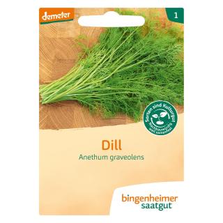 Dill Saatscheibe
